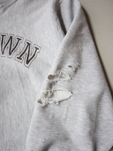Load image into Gallery viewer, 1980's Champion Reverse Weave Brown College Sweatshirt - L/XL