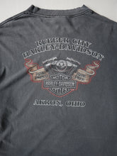 Load image into Gallery viewer, 2000s Faded Harley Davidson Flame Long Sleeve - L
