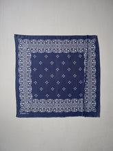 Load image into Gallery viewer, Washfast Colors Repaired Bandana
