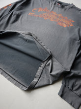 Load image into Gallery viewer, 2000s Faded Harley Davidson Flame Long Sleeve - L
