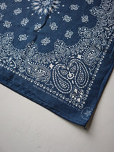 Load image into Gallery viewer, Made in USA 100% Cotton Bandana by Hav-A-Hank

