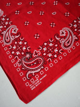 Load image into Gallery viewer, 1970s Fast Color Bandana

