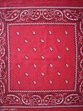 Load image into Gallery viewer, Colorfast Made in USA Bandana
