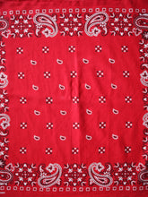 Load image into Gallery viewer, 1970s Fast Color Bandana
