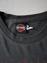 Load image into Gallery viewer, Distressed Harley Davidson Flame Long Sleeve - L
